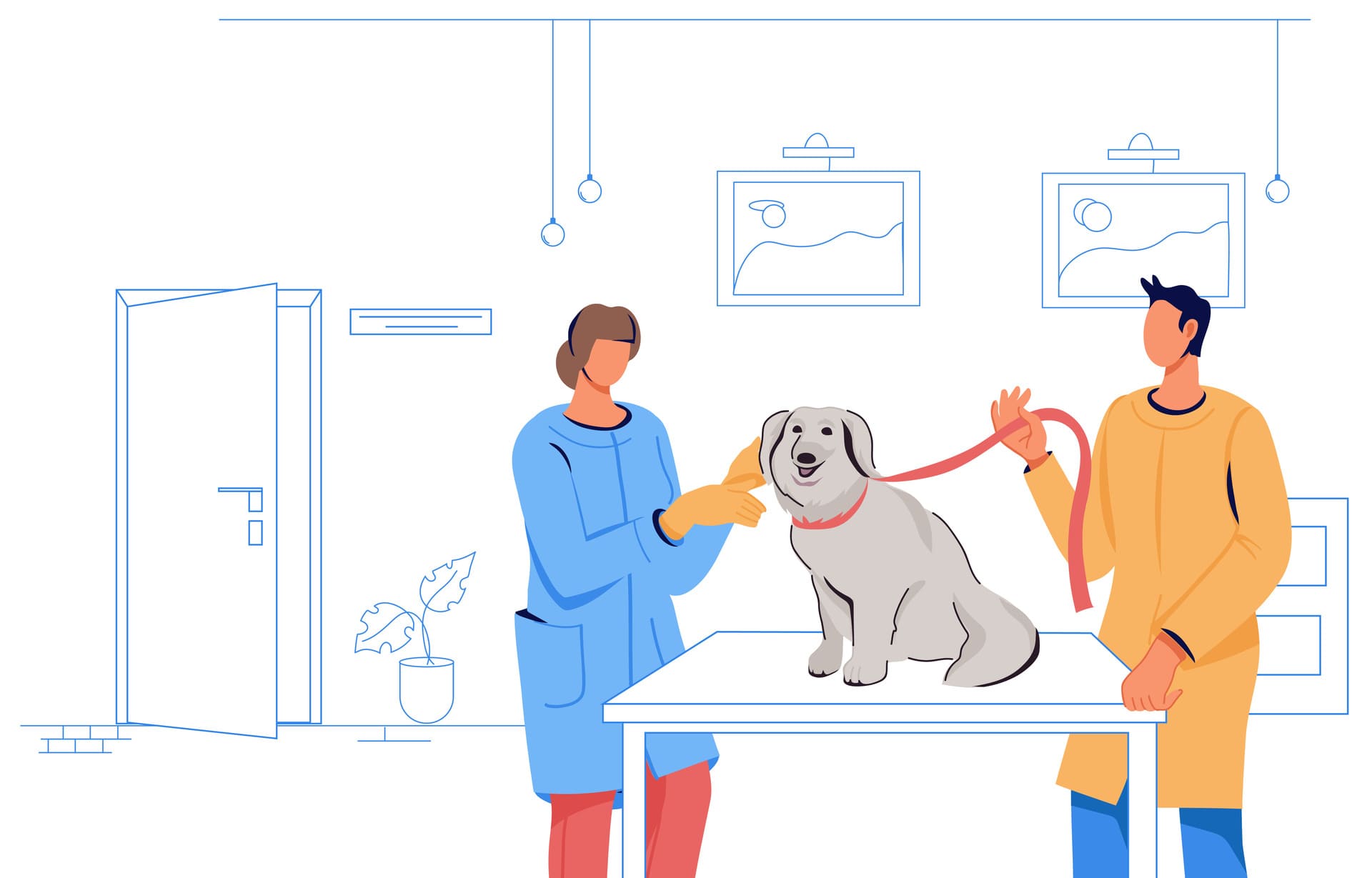 Senior dog care guidance